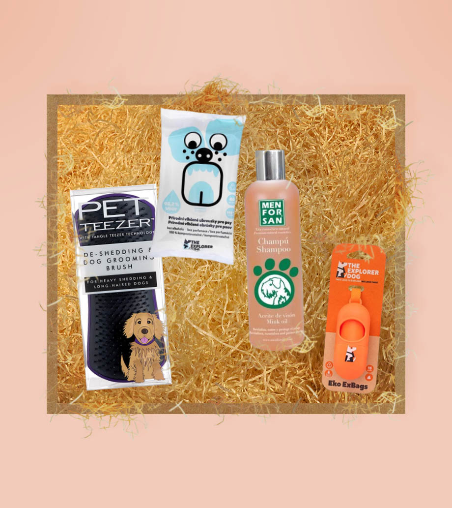Darček pre psa – Darčekový box Psia povinná výbavička Luxusná starostlivosť pre psov: Pet Teezer, šampón Menforsan, Zásobník Explorer Dog a Vlhčené obrúsky z bambusu.